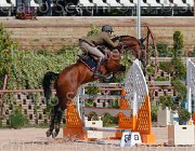 CRISTOFOLETTI AMICO MIO CampITA2013- S5 9370 : AMICO MIO, CRISTOFOLETTI ROBERTO, Campionati Italiani 2013, Cattolica, Horse Riviera Resort, foto di Stefano Secchi ©
